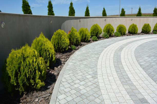 Best Best Driveway Pavers  in Holly, MI